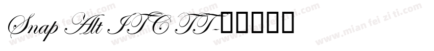 Snap Alt ITC TT字体转换
